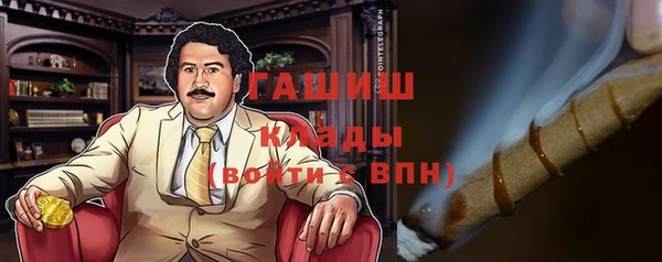 ПСИЛОЦИБИНОВЫЕ ГРИБЫ Арсеньев