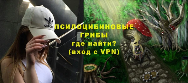 дмт Алексин