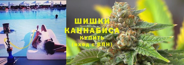 дмт Алексин