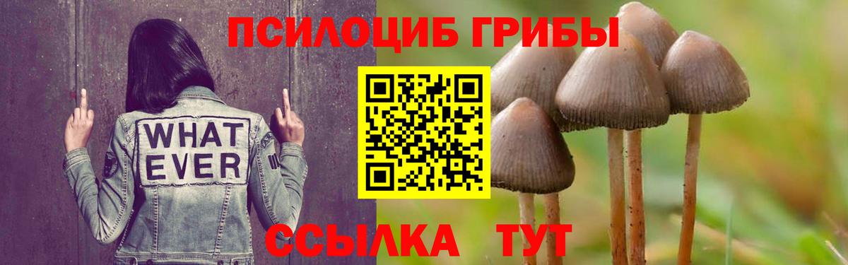 Псилоцибиновые грибы Magic Shrooms Краснотурьинск